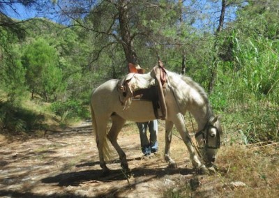 Horse riding through the natural park