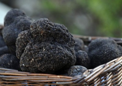 Black Truffles