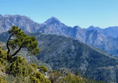 walking-holidays-in-andalucia-spain-04