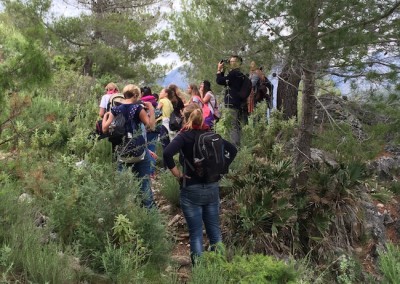 All looking at the Eagles' nests in the cliffs